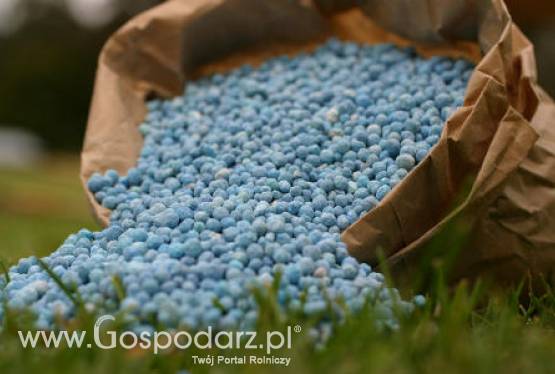 Rolnicy co roku wydaja więcej na nawozy – nawozy są droższe czy rolnik ma więcej pieniędzy?