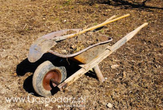 Nawożenie w gospodarstwie ekologicznym