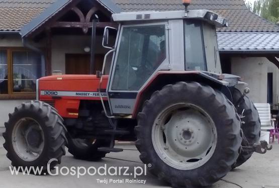 ciągnik rolniczy Massey Ferguson 3090