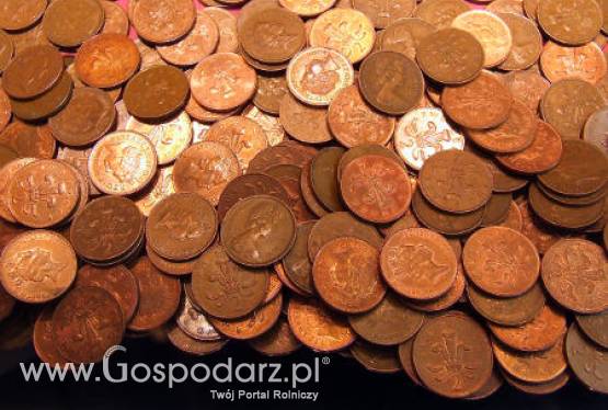 Kredyt walutowy? Zaoszczędź do 20 tysięcy złotych