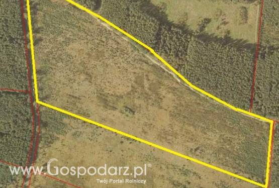 Sprzedam 18ha rolnych 25km od Wrocławia