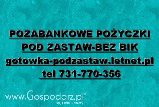 POZYCZKI PRYWATNE BEZ BIK POD ZASTAW NIERUCHOMOSCI