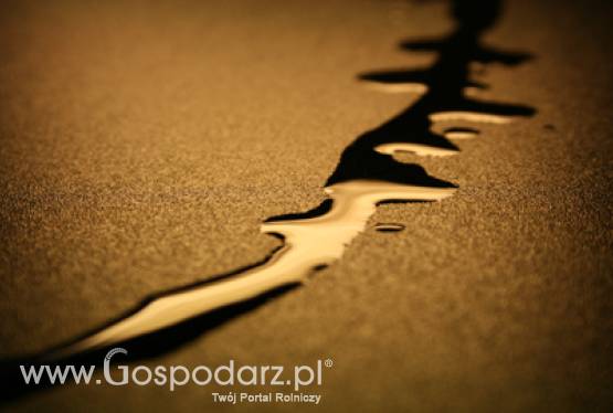 Wreszcie nadchodzi B7!