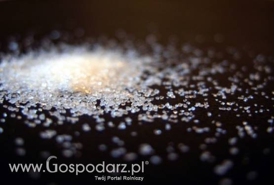 Cukier znów zaczyna drożeć