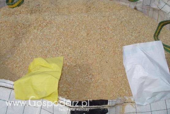 Trociny wióry sosnowe sosna odpady biomasa