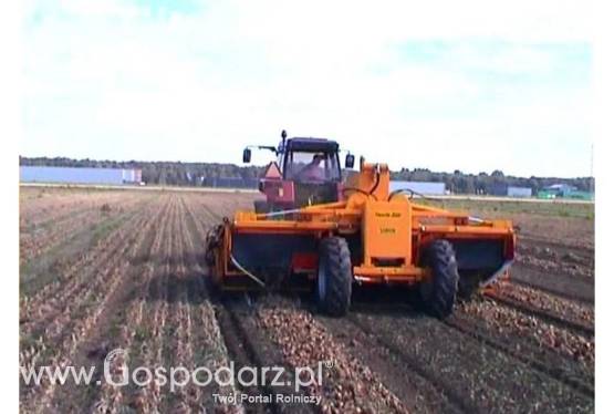 Podnośnik do cebuli (SU2M) (3 x 2,00) model SU23B200 SAMON