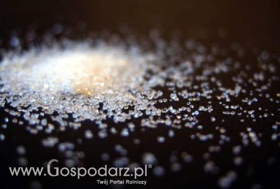 Niemcy -  Wprowadzono ograniczenia dla Polaków na cukier