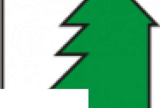 XV Targi Przemysłu Drzewnego i Gospodarki Zasobami Leśnymi LAS-EXPO