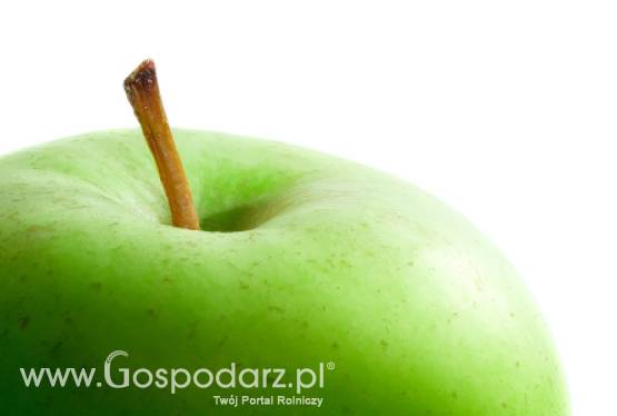 RPA – Zbiory jabłek będą mniejsze