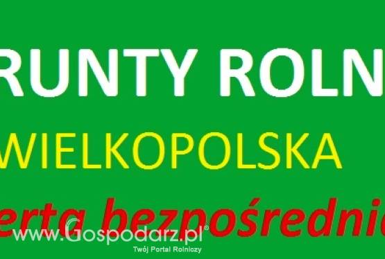 240 ha wielkopolska sprzedamy