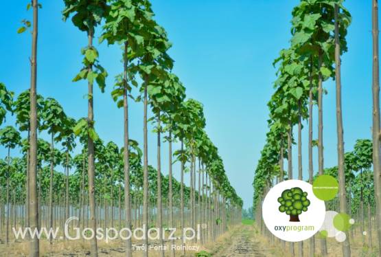 Wycieczka na plantacje Oxytree pod Budapesztem