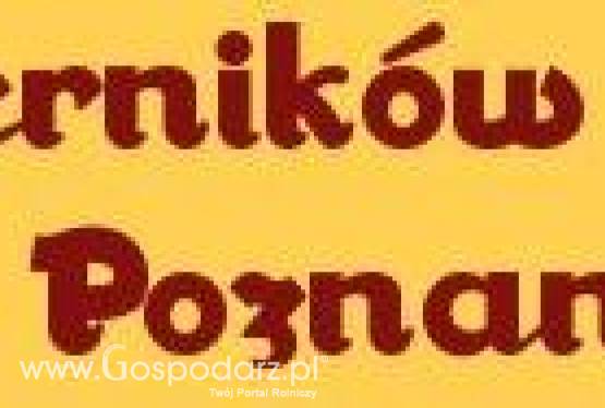 VIII MISTRZOSTWA  POZNANIA W JEDZENIU PĄCZKÓW NA CZAS