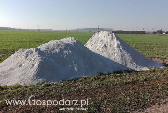 Wapno nawozowe, węglanowe Kujawit i Radkowit