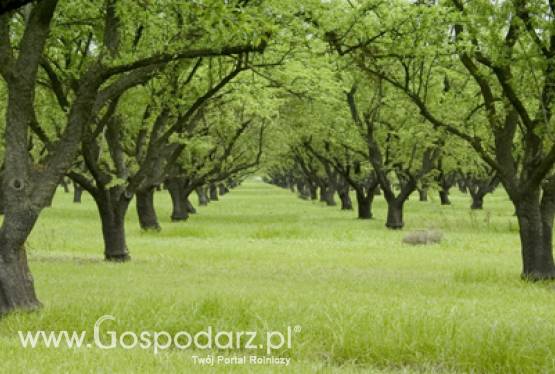 W walce o sukces polskiego sadownictwa