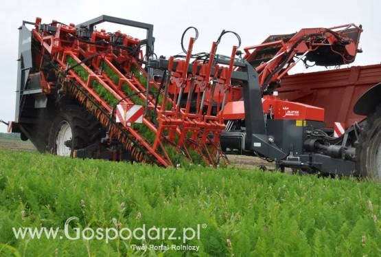 Kombajn do marchwi GK III SE DEWULF