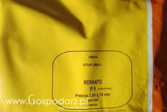 Sprzedam nasiona cebuli odmiana Meranto