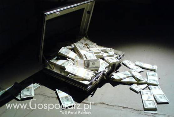 Wypłata dotacji idzie sprawnie, ale nie aż tak jak zapowiadano