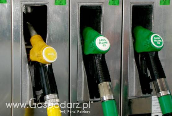 Biokomponenty i biopaliwa - sprzedaż