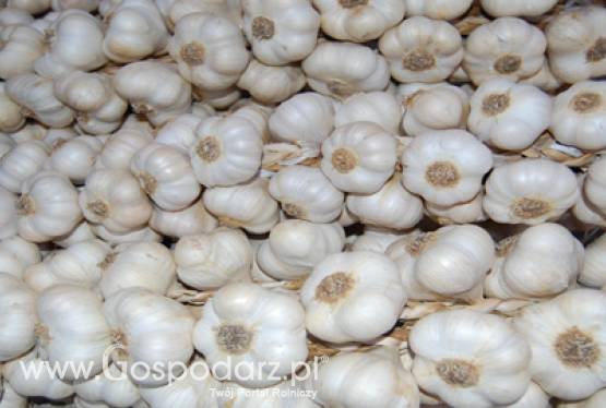 Kolejna chińska nazwa zarejestrowana w UE