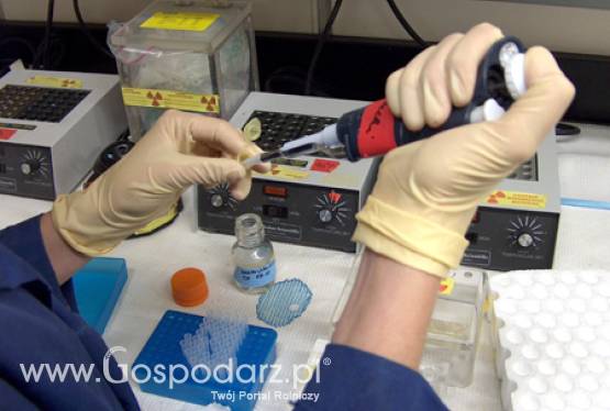 XI warsztaty EPPO i XV spotkanie EMN