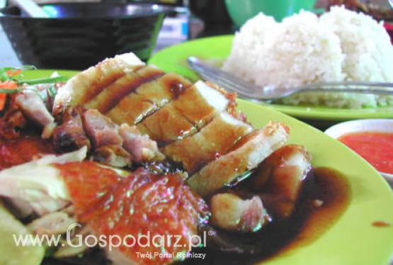 Europie zabraknie pożywienia?