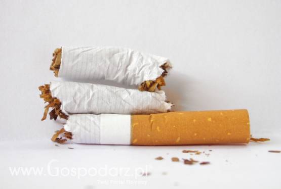 Światowy Dzień bez Tytoniu