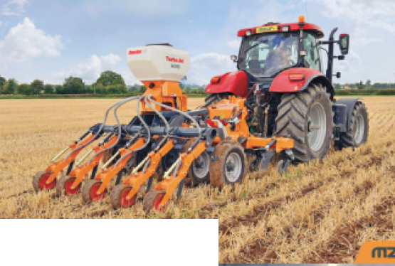 Głębosz REHAB MZURI