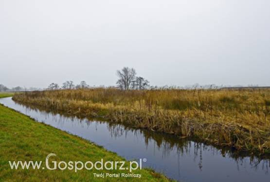 Norma dotycząca utrzymania stref buforowych wzdłuż cieków wodnych