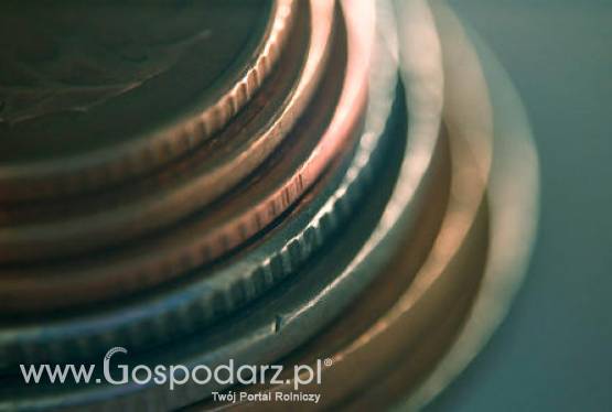 Lokalne Grupy Działania przyjmują wnioski o wsparcie inwestycji z PROW 2007-13. W Polsce działa 336 takich grup.