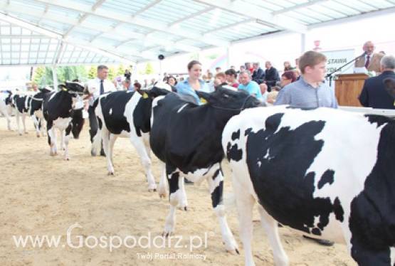 Spotkaliśmy się w Przedborowie