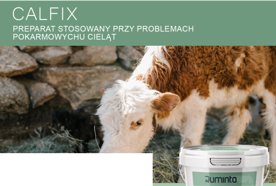 Ruminta Preparat na Biegunki u Cieląt Jagniąt Koźląt Prosiąt Calfix 1kg