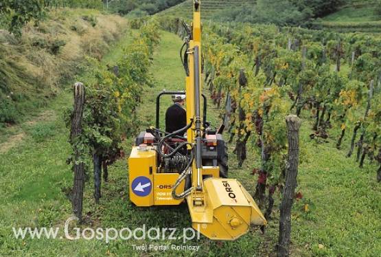 Ramiona ORSI VIGNA 615 TELESCOPIC