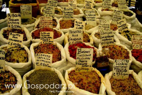 Wyniki kontroli doraźnej w zakresie jakości handlowej przypraw