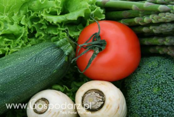 Zniesienie obowiązku dołączania tymczasowych świadectw dla warzyw świeżych, wywożonych z Polski do Federacji Rosyjskiej