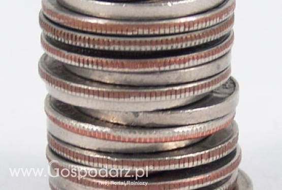 Banki zapowiadają, że kredyty inwestycyjne w tym roku będą bardziej przystępne