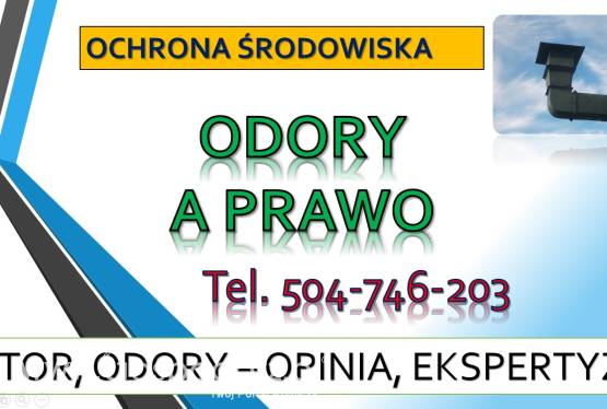 Ustawa odorowa