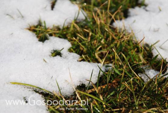 Komunikat dla rolników w sprawie mrozów majowych