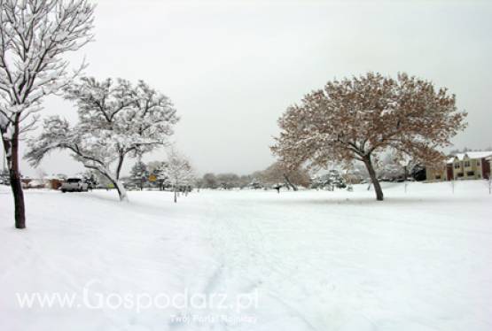 Dla rolników z woj. opolskiego możliwe są kredyty klęskowe