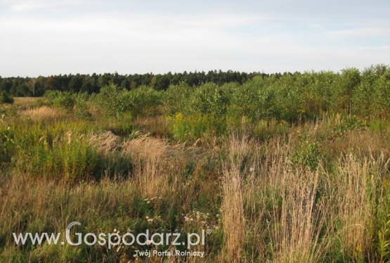 Działki rolne 75000 m2