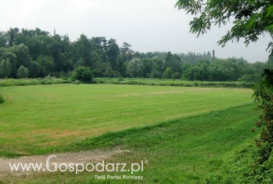 Brykiet opałowy z podlaskiej trawy