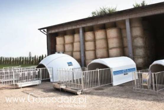 Blattin Iglo-Box Premium - budki dla cieląt z włókna szklanego