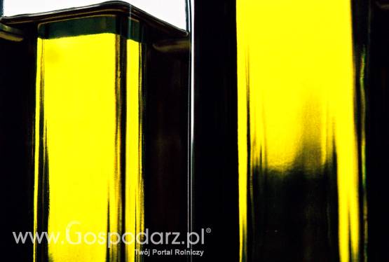 Mniejsza produkcja oleju rzepakowego