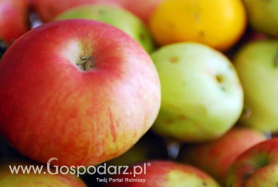 Jabłka będą drożały
