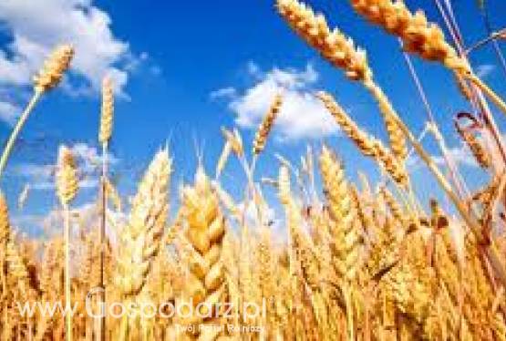 FINANSE DLA ROLNICTWA