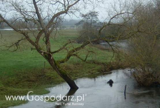 Wsie pod Garwolinem zostały podtopione