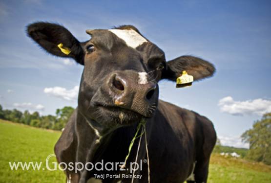 Spotkanie z branżą mięsną