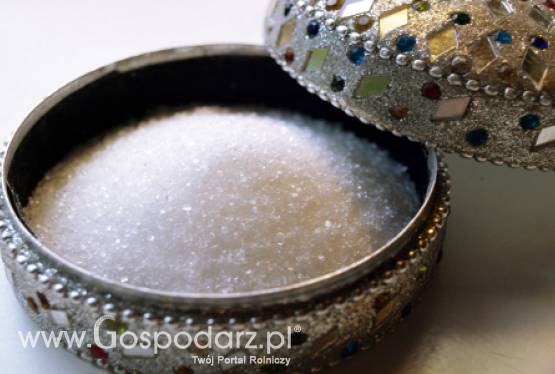 Kwota produkcyjna cukru w Polsce się nie zmieni