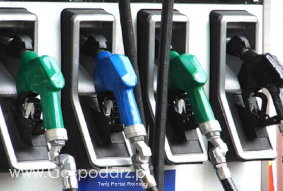 Elsevier uruchamia platformę informacyjną poświęconą biopaliwom