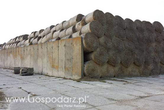 Sprzedam Słoma żytnia 2014 TANIO, Baloty 150x120 cm 270kg, 300t   Płoskinia Braniewo