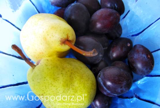 Wizyta delegacji Republiki Mołdawii